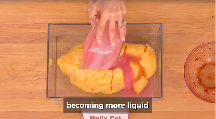 Belly fat becoming more liquid — gelatin method demonstration